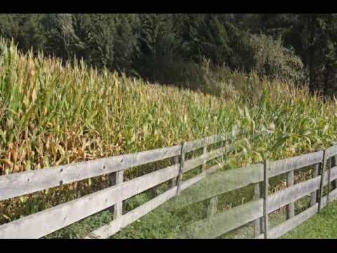 Niederrasen mein Heimatort Humanistisches Gymnasium Bruneck