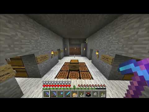 TofuuGaming Minecraft Cube SMP Episode 6: Donating to Charity, AskLoe