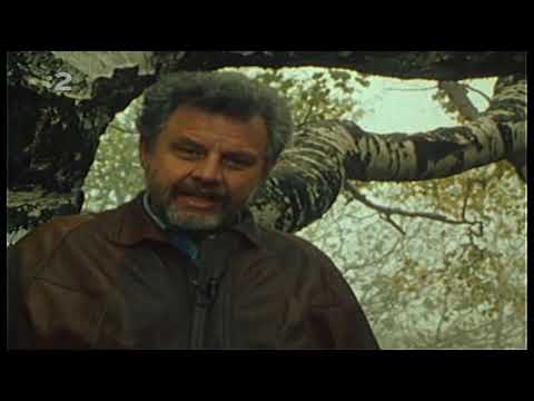 STOPY DÁVNEJ MINULOSTI 8. - Tajomstvo Tatárskej lúky