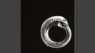 Sell Your Body (To The Night)