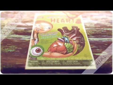 Disgusting Anatomy of the Heart  Science Kit by Scientific E