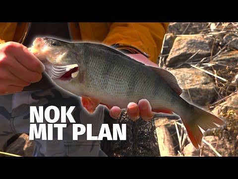 NORTH SEA CANAL: FINDING STRUCTURES for BASS & ZANDER - 'Catch something' (5)