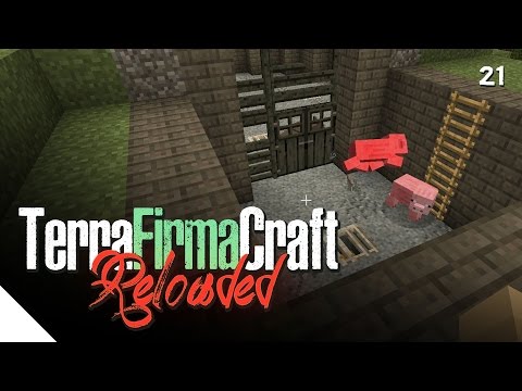 "Pink Tragedy" :: TerraFirmaCraft Reloaded - Episode 21