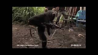 Cover art for Life could be dream