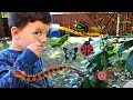 BUGS FOR KIDS! Learn Insects Names with Caleb & Mommy! BUGS and CRAWLY THINGS