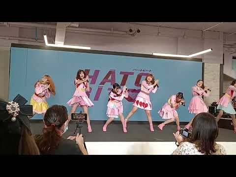 Open World - HatoBito (Live at BHF Iconic Idol Fest 2022)