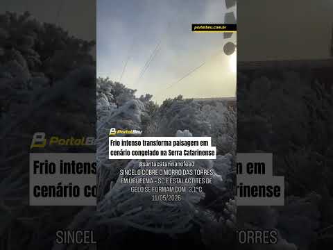 Sincelo ocorre quando gotículas de água super-resfriadas presentes na neblina congelam