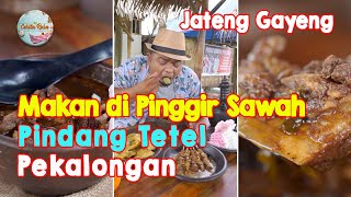 Download lagu Makan Pindang Tetel Dangan Pemandangan Persawahan, Ini Memang Nikmat mp3 Download lagu Makan Pindang Tetel Dangan Pemandangan Persawahan, Ini Memang Nikmat mp3