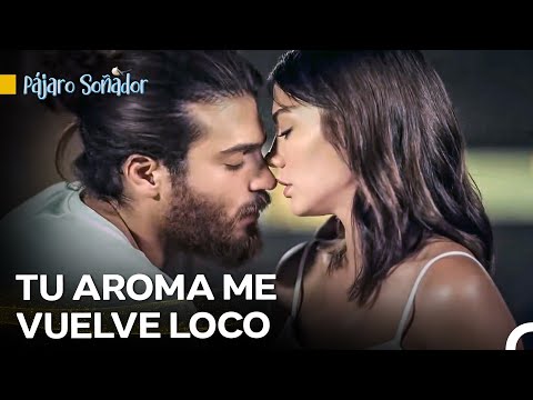 Momentos Íntimos De Can Y Sanem - Pájaro Soñador