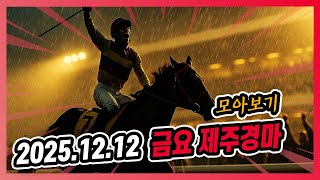 2025년 12월 12일 금요 제주경마 전체경주 모아보기