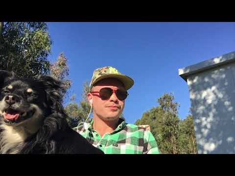 Tipps zum Haus und Autokauf in Uruguay  #6 🇺🇾