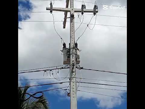 GUAJERU-BA #avee_player #eletricista