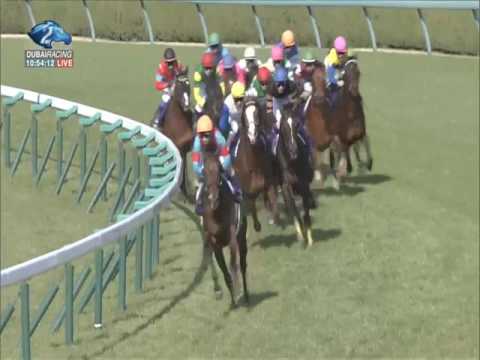 2017.04.02 Osaka Hai (JPN) - Kitasan Black