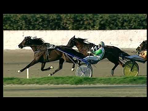 Napoli Trotto 19/02/2021 - 7ª corsa