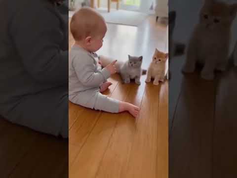 cute baby with cats #cats #catvideos #funnyvideo #fun