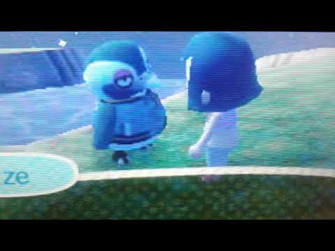 Alles spitze in Amerika animal crossing version