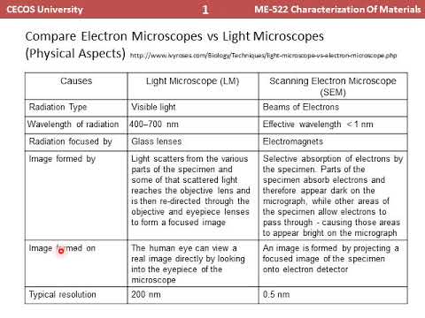 6. Scanning Electron Microscope