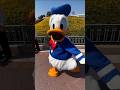 Donald Duck SHAKING his Tail Feather - Funny Disney Character Moment #disneyparks #donaldduck