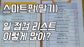 딸기 스마트팜 매일 이정도 까지 점검 하나??