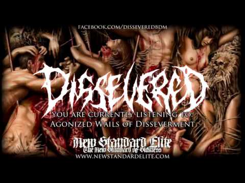 Dissevered - “Agonized Wails of Disseverment” (Agonized Wails of Disseverment 2016 | NSE)