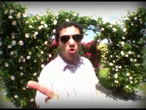 King Orgasmus One - Das regt mich auf