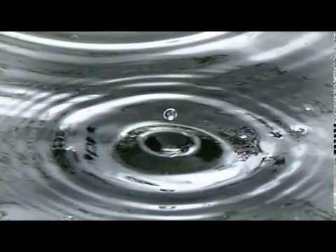 Nelly Ciobanu  - "Ploi"