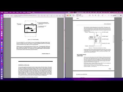 Archimedes and Amiga graphics architecture