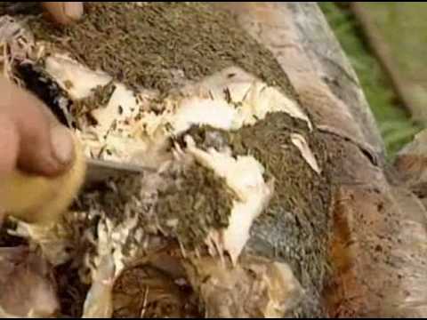 Sommarhajk - Styltor 1998