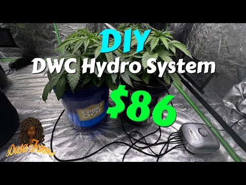 DIY DWC System For Plants (under $100)