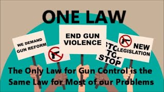 ONE LAW | The Only Law for Gun Control is the Same Law for Most of our Problems