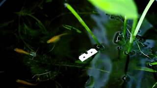 NHK yx Koyxen - Meeting (Official Video) [DFA Records]