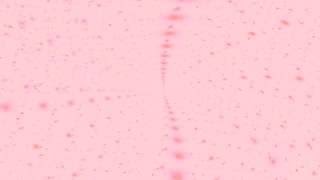 AI NO UTA / MIHO FUKUHARA