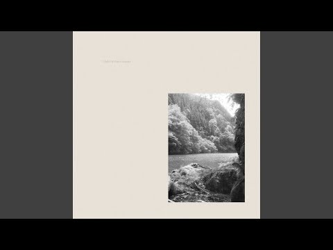 While My Waves Wonder