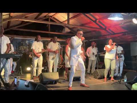 Sky to be - Lioness Stacy - Kabos koze