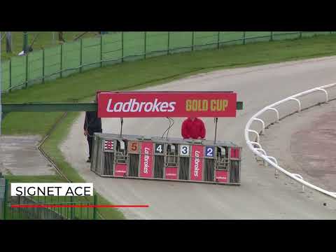 Signet Ace - Ladbrokes Gold Cup Semi Final