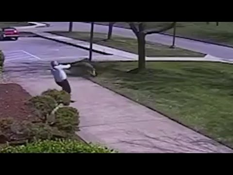 GOOSE Attacks COP Caught On Camera!! | What's Trending Now!