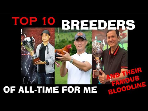 my top 10 breeders of all-time and their famous bloodline (re-upload)
