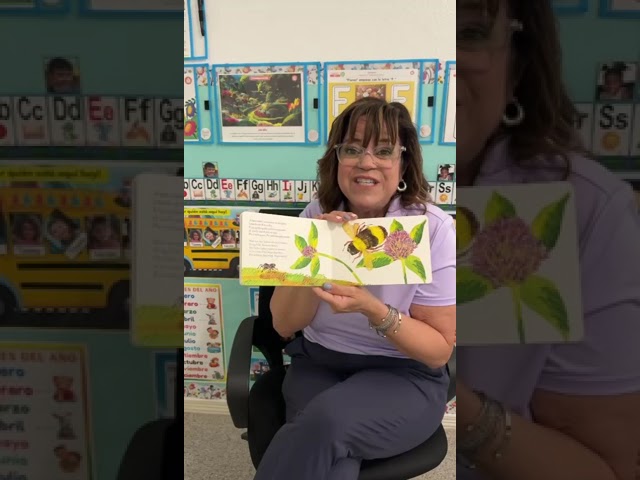 Vídeo relacionado con El grillo silencioso: (Colección Eric Carle)