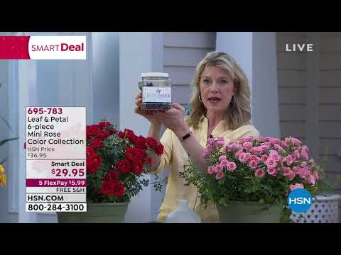HSN | Home Solutions 03.20.2020 - 06 PM