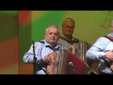 Vingosi - Šviga švaga, rom pom pom (v živo)