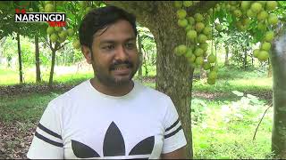 নরসিংদীতে মৌসুমী ফল লটকন চাষ