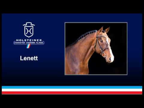 Holsteiner Verbandshengste 2019 - Lenett