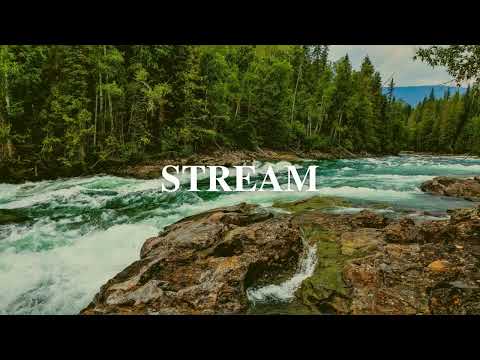 Chill Jazz Lofi Clarinet Hip Hop Type Beat "Stream" 77 BPM