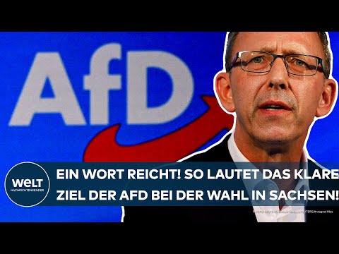 SACHSEN: Nur ein Wort reicht! So lautet das klare Ziel der AfD bei der Landtagswahl im September!
