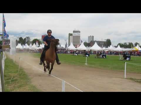 Speed Pass, Fast-Unfall mit 4-spänner Kutsche