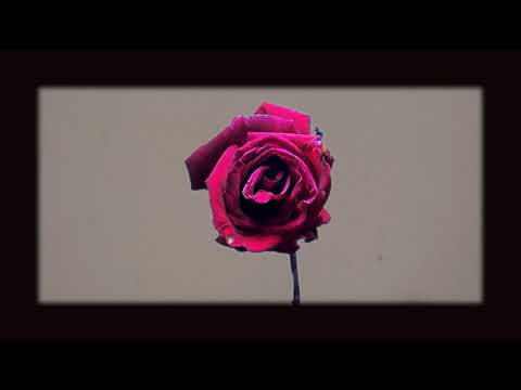 YuKI - Oba Dakala | Official Lyrics Video