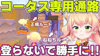 【ぽこあポケモン】コータスは段差を登れないと思い込んでいたねねち【ホロライブ桃鈴ねね切り抜き】