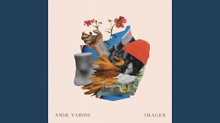 Amir Vahidi - Images video