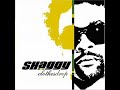 Shaggy Repent