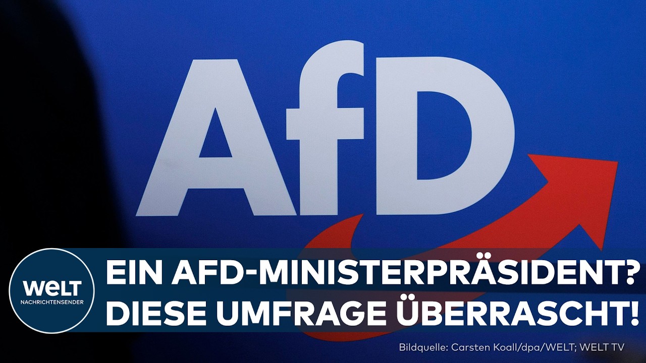 AFD: Auf dem Weg zur Macht? Verblüffende INSA-Umfrage vor den Landtagswahlen: AfD Ministerpräsident?
